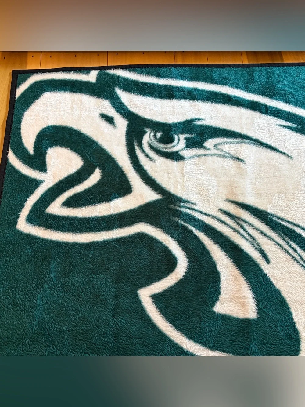 Biederlack NFL Philadelphia Eagles Throw Blanket 49